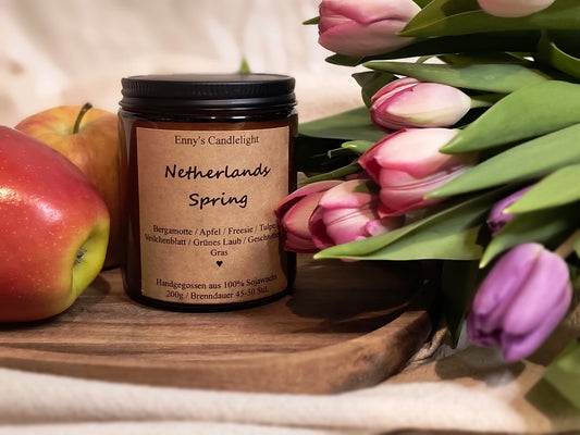 Netherland Spring - Ein Spaziergang durch die blühenden Wiesen der Niederlande